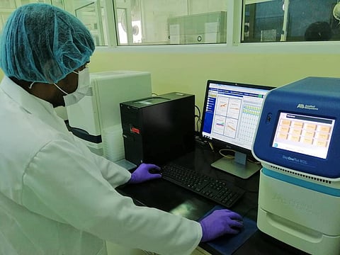 مركز الأبحاث الزراعية بجدة يعلن نتائج فحوصات أسماك الليث