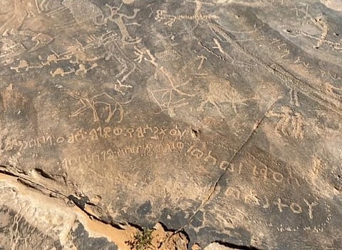 شاهد.. مهتم بالحضارات يكتشف خطاً ثمودياً ورسوماً حيوانية بتيماء