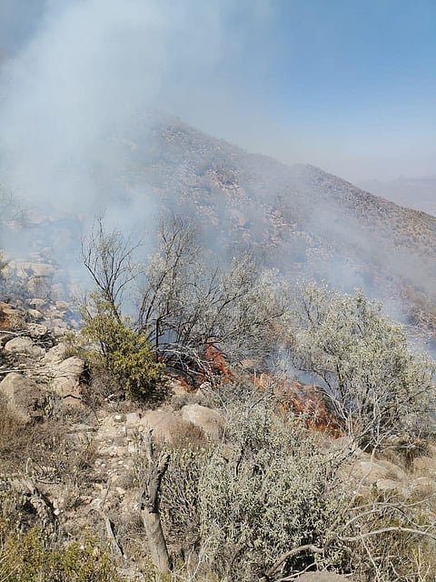 شاهد.. جهود كبيرة تنتهي بالسيطرة على حريق غابات جبال الحشر شرق جازان