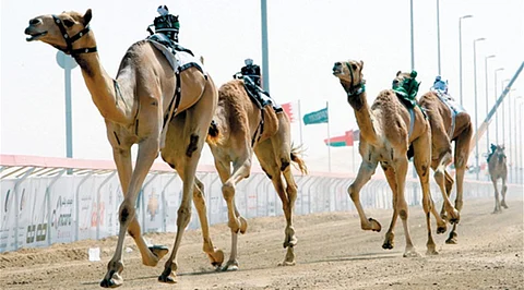 وبقي من لا يستطيع الرحيل.. ملاك هجن: "ميدان الرياض" غير صالح لأسباب: جثث!