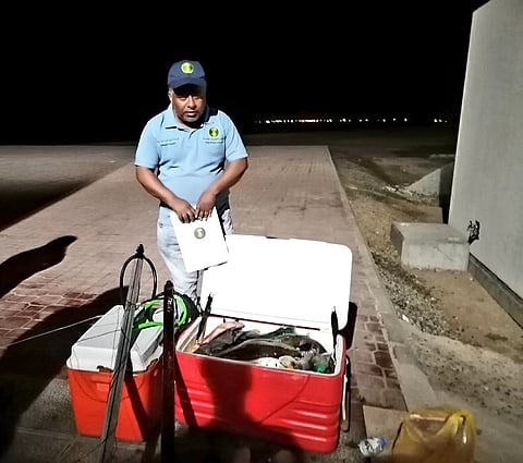 "البيئة" تضبط 3 سوريين لمخالفتهم نظام الصيد بجدة