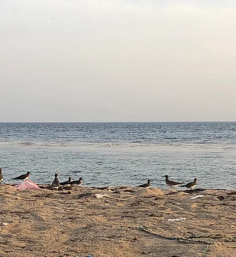 بعد 24 ساعة من البحث .. العثور على جثة "مفقود بحر رأس محيسن"