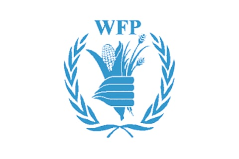 برنامج الغذاء العالمي يؤكد: "الزنك وفيتامين أ" يقويان جهاز المناعة