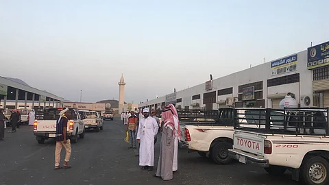 رئيس بلدية محايل: تجهيز سوق أغنام آخر لمنع تزاحم المواطنين