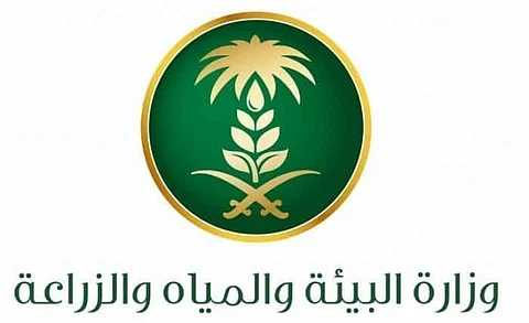 فتح بوابات سد وادي جازان لتصريف 3 ملايين م3 لري المزارع