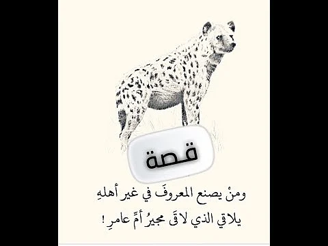 تعرف على قصة مَثَل "ومن يصنع المعروف في غير أهله"
