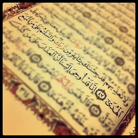 "الغداة".. قبل طلوع الشمس أم وقت الظهيرة؟.. هذا ما قاله القرطبي
