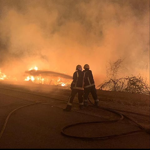 بالصور .. حريقٌ يلتهم مجموعة من الأشجار والنخيل في "قديح القطيف"