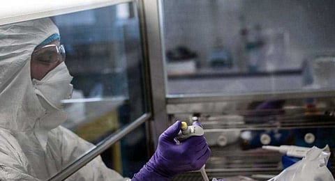 تسجيل 298 إصابة جديدة بفيروس كورونا في سلطنة عُمان