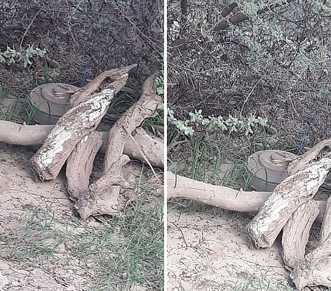 "مدني جازان" يبطل مفعول لغمَ أرضي جرفته سيول منقولة من اليمن