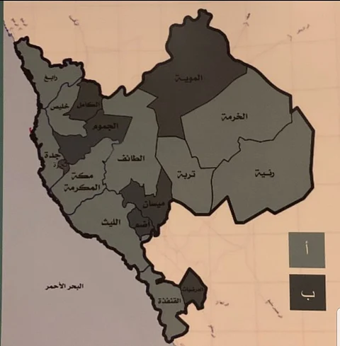 بفارق 614 حالة.. متعافو كورونا في مكة ومحافظاتها يتخطون الحالات النشطة