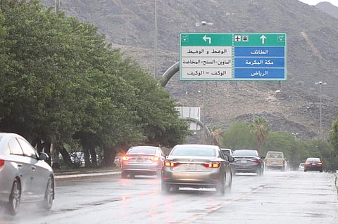 شاهد.. أمطار على الطائف والأهالي يخرجون للتنزه