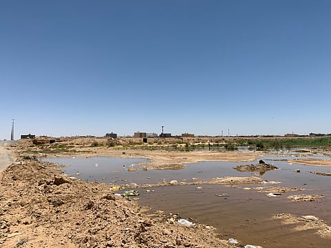 جسر منسي وأودية تغزوها الأشجار ومياه راكدة.. معاناة الأحياء الشمالية بتبوك