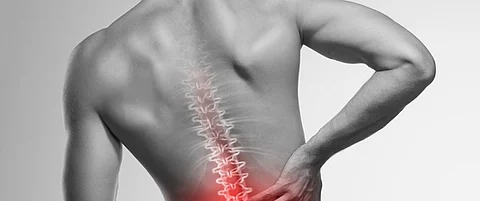 هذه الأطعمة تساعد في تجنب آلام الظهر.. نظامك الغذائي يحتاجها