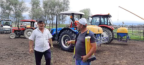 تركيا.. "القراد" ينتشر بالقرب من إسطنبول وذعر بين الأهالي