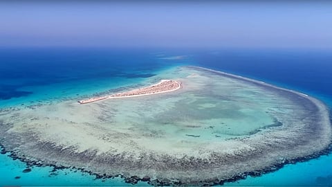 الجزر السعودية "الكنز المفقود" ذو الطبيعة الفاتنة... الأولى عربيًا وهذا ترتيبها عالميًا