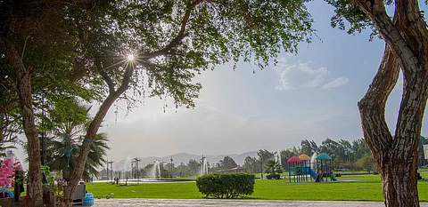 وجهة سياحية تجذب أهل نجران وزوارها.. هنا منتزه الملك فهد بغابة "سقام"