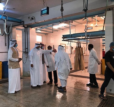 أمين نجران يقف على جاهزية المسالخ البلدية ونقاط الذبح