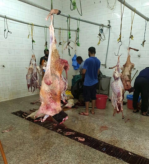 طبيب بيطري يتسبب في إغلاق مطبخين بمكة