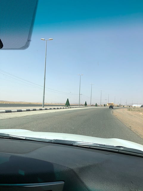 هل تصدقون تشجير شارع بحائل بـ"البلاستيك"؟.. عضو شورى ينتقد والبلدية ترد