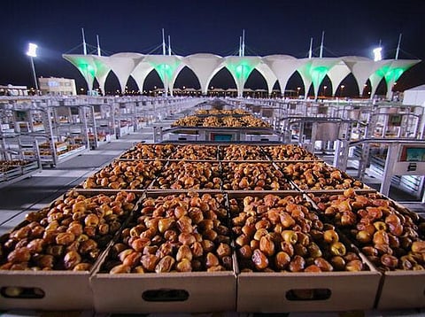 بين "أم حمام" و"السكرية".. شاهد وفرة "تمور عنيزة" تضبط أسعارها