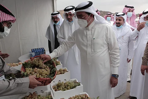 أمين عسير يزور مهرجان العنب بـ"الماوين"