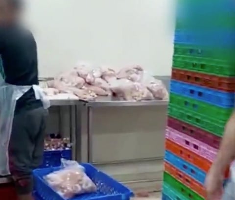 القطيف.. ضبط عمال تغش في لحوم الدجاج الفاسد لإعادة تسويقه