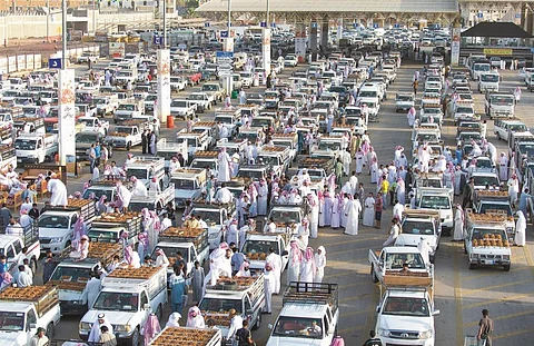 خلال أسبوعين.. 3 ملايين عبوة بـ"تمور بريدة" و97% منها للسكري