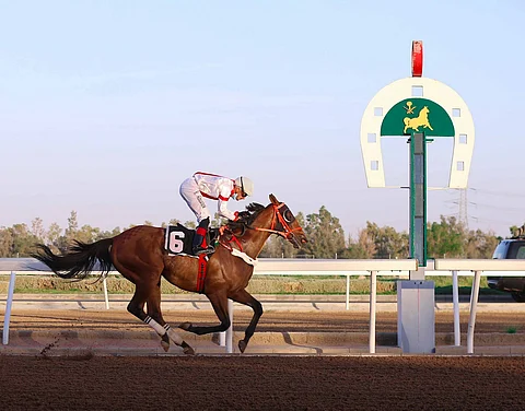 نادي سباقات الخيل يقيم حفل سباقه الخامس ضمن موسم المصيف