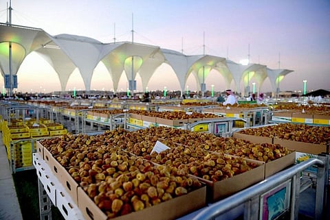 موسم عنيزة للتمور.. ارتفاع في المبيعات 40 % بسبب توازن الأسعار