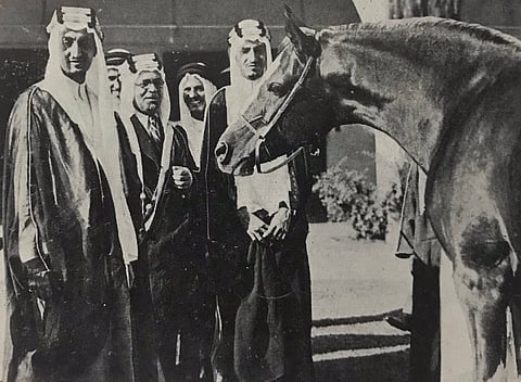 140 عامًا من الفروسية.. بدأت بـ"عبية" ومرت بـ"ربوة" و"ملز" وانتهت بالجنادرية وكأس عالمية
