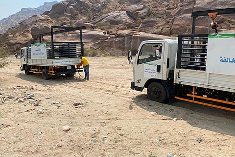 جولات مكثفة تضبط وتصادر 11 رأساً من الإبل السائبة بمكة