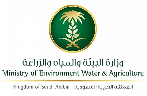 "البيئة" تبدأ مرحلة دمج 13 مديرية تابعة لها لـ 6 قطاعات تحت مظلة شركة المياه الوطنية