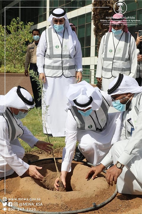 شاهد.. انطلاق حملة #لنجعلها_خضراء لتغطي 165 موقعاً في جميع المناطق