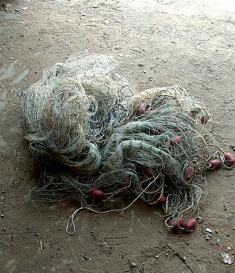 حرس الحدود يضبط 8 مواطنين ومقيمين خالفوا نظام الصيد البحري في جدة