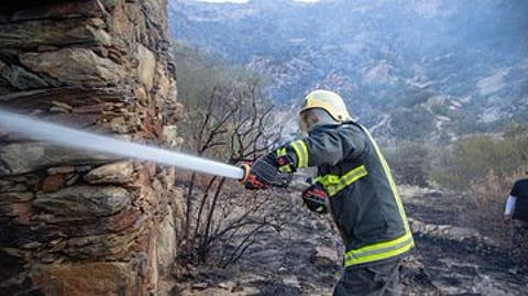 الدفاع المدني عن حريق #تنومة: الجهود تتواصل ومنعنا وصوله للمناطق السكنية ولا إصابات