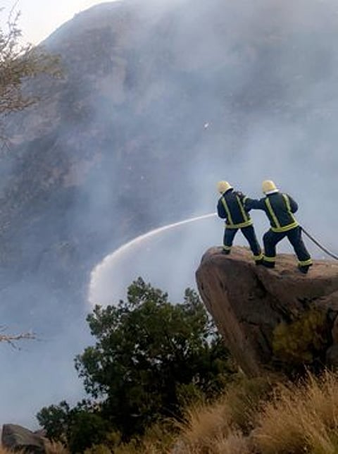 الدفاع المدني والجهات المساندة تواصل جهودها في إخماد حرائق الغابات بتنومة