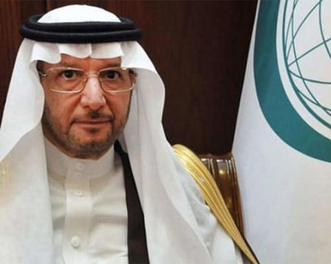 "التعاون الإسلامي" تُدين بشدة استهداف الحوثي للمدنيين بطائرة "مفخخة"