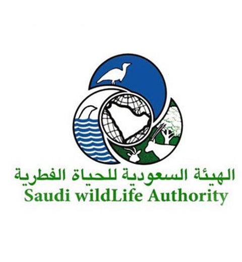 ابتعدوا عن المها العربي والغزلان والوعول.. السماح بالصيد من أول نوفمبر إلى 14 يناير