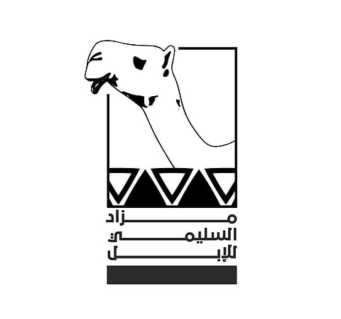 إعلان نتائج "مزاين السليمي" لللإبل "القعدان والبكار"