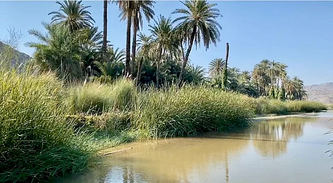شاهد "وادي قنونا".. طبيعة ساحرة وخدمات مفقودة