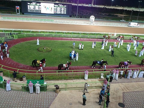 "ضوابط".. أول مهرة لمالكة سعودية تفوز في سباقات الخيل بميدان الملك عبدالعزيز للفروسية