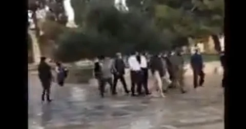بالفيديو.. مستوطنون يقتحمون باحات المسجد الأقصى من جهة باب المغاربة