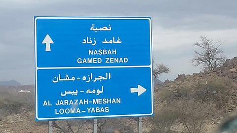 غامد الزناد.. "لبوة" بلا إنارة تبحث عن السفلتة والاتصالات