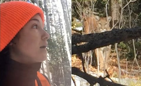 فيديو موت .. كيف قتلت امرأة أسدًا جبليًا في مواجهة مرعبة؟