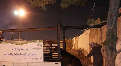 بالصور.. ضبط موقع مخالف لتربية الخيول بمكة وتسليم 12 رأساً لوحدات الذبح