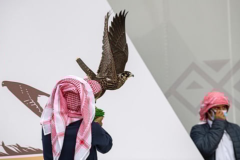 وسط إجراءات احترازية.. انطلاق النسخة الثالثة لمهرجان الملك عبدالعزيز للصقور