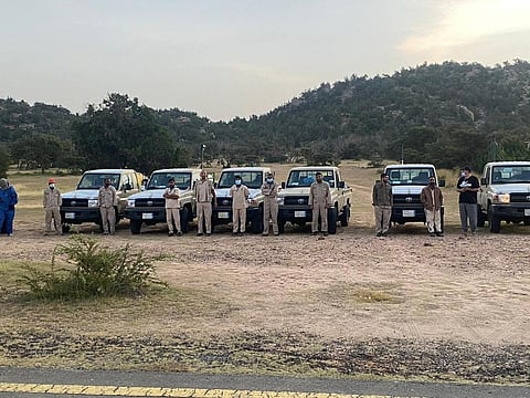 ليلاً ونهاراً.. جهود مكافحة "غزو أسراب الجراد" تتواصل بالليث وتحذيرات