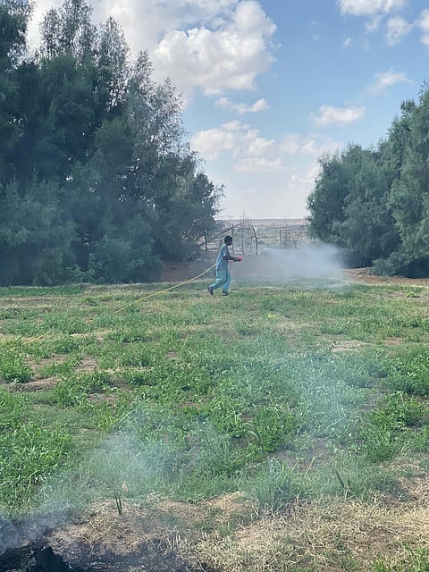 ابتعدوا.. تحذير من "البيئة" لأصحاب المناحل والمواشي