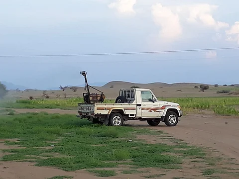 45 سرباً من الجراد الصحراوي يدخل أجواء المملكة.. والمكافحة مستمرة